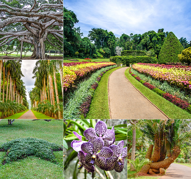 Visit Royal Botanical Gardens